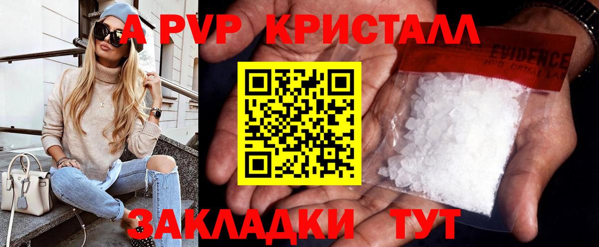 Альфа ПВП СК Прокопьевск