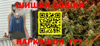 МДПВ Будённовск