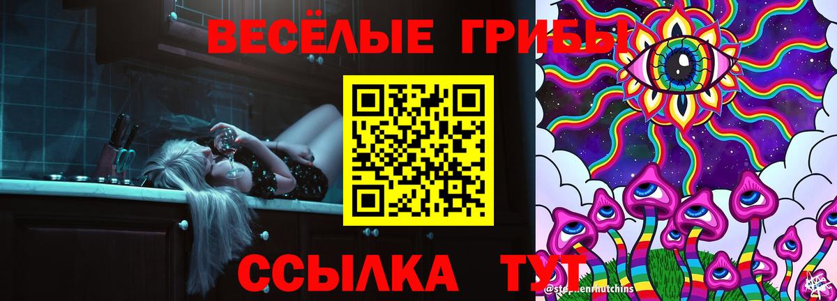 Галлюциногенные грибы GOLDEN TEACHER Прокопьевск